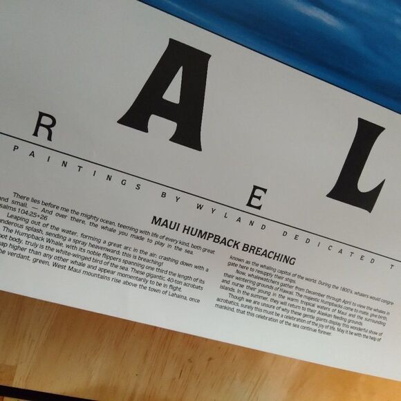 Vintage Whales Forever Wyland Studios 1984 Poster - Picture 5 of 6